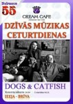 "Cream Cafe" koncertēs ģitārista Jāņa Vanadziņa projekts "Dogs & Catfish"