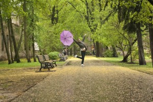 Foto: Ziedoņdārza svētki 2011