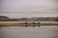 Rudens nokrāsas fotoizstādē „Rudens spoguļi"